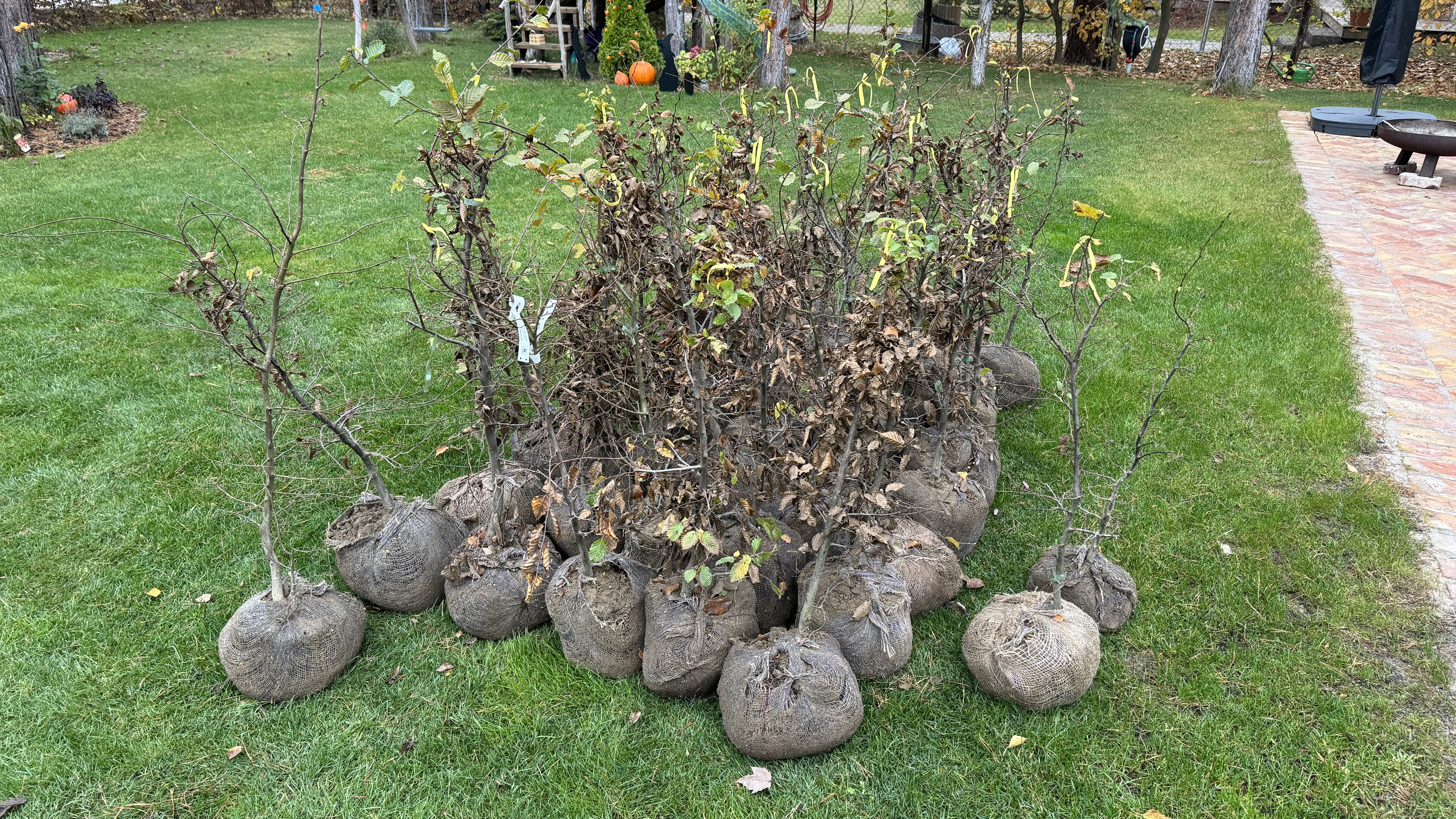 Rund ums Haus – Bild 4 von 9
