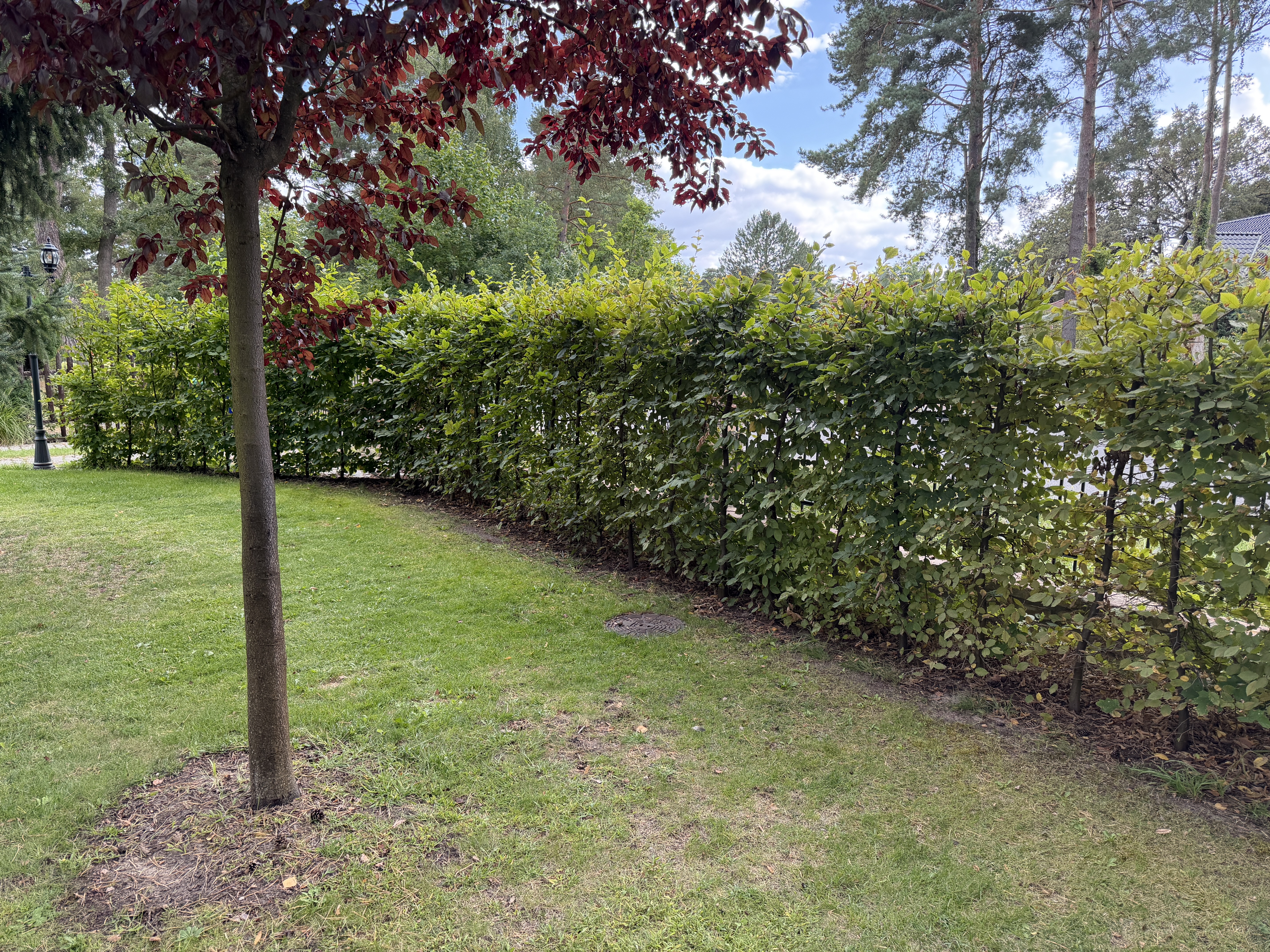 Rund ums Haus – Bild 3 von 9