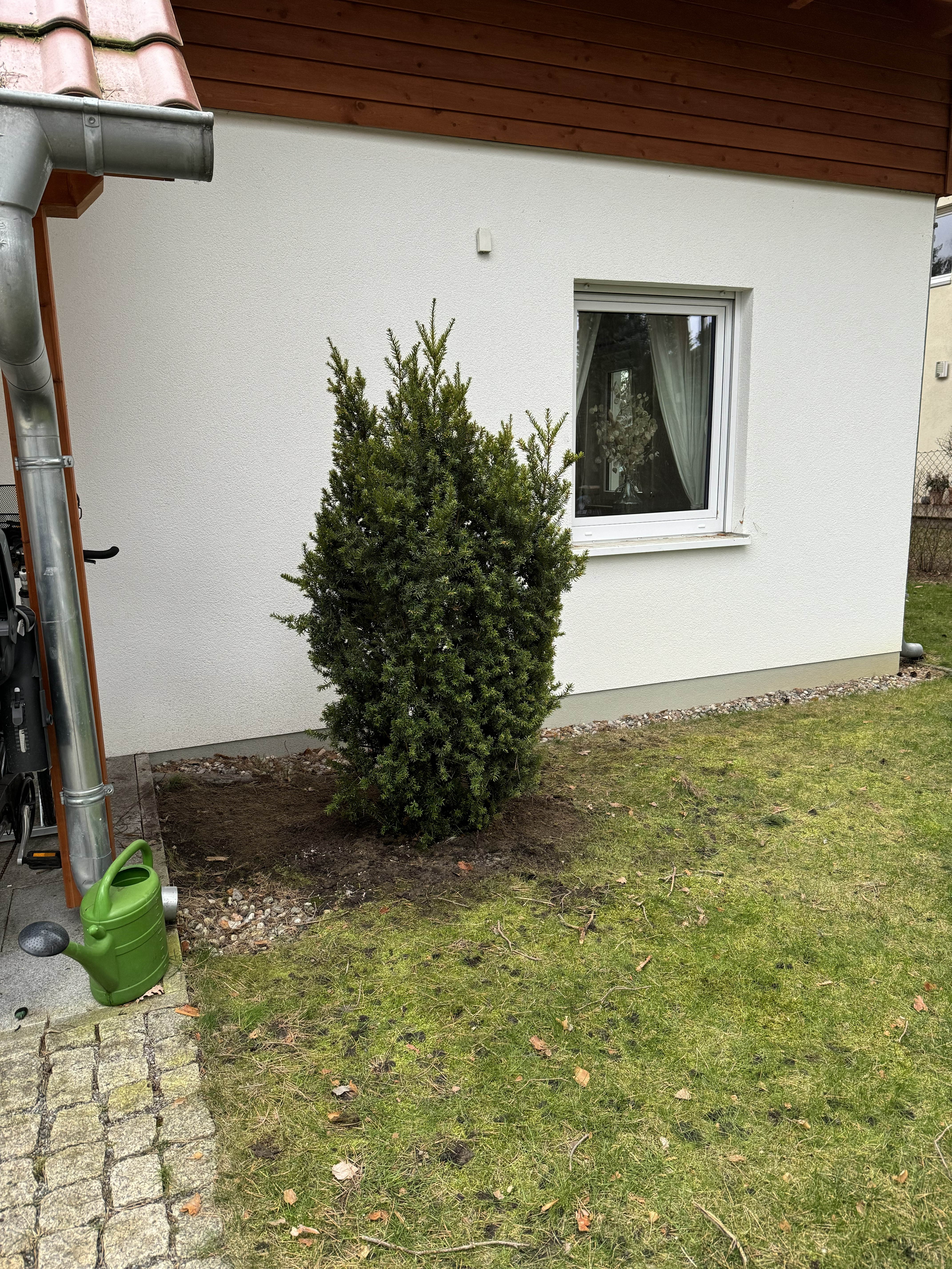 Rund ums Haus – Bild 9 von 9